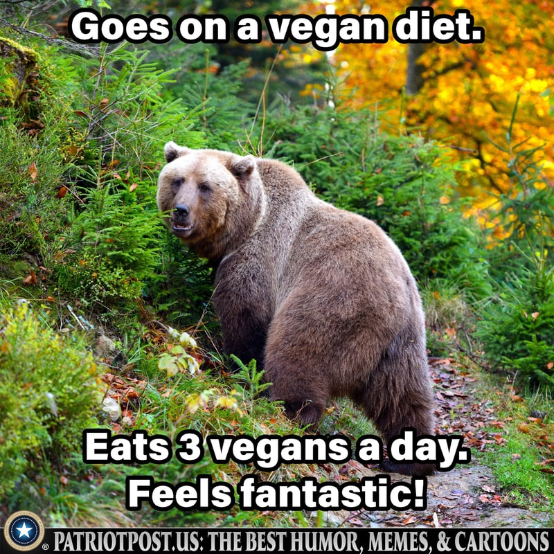 Vegan Diet Tips